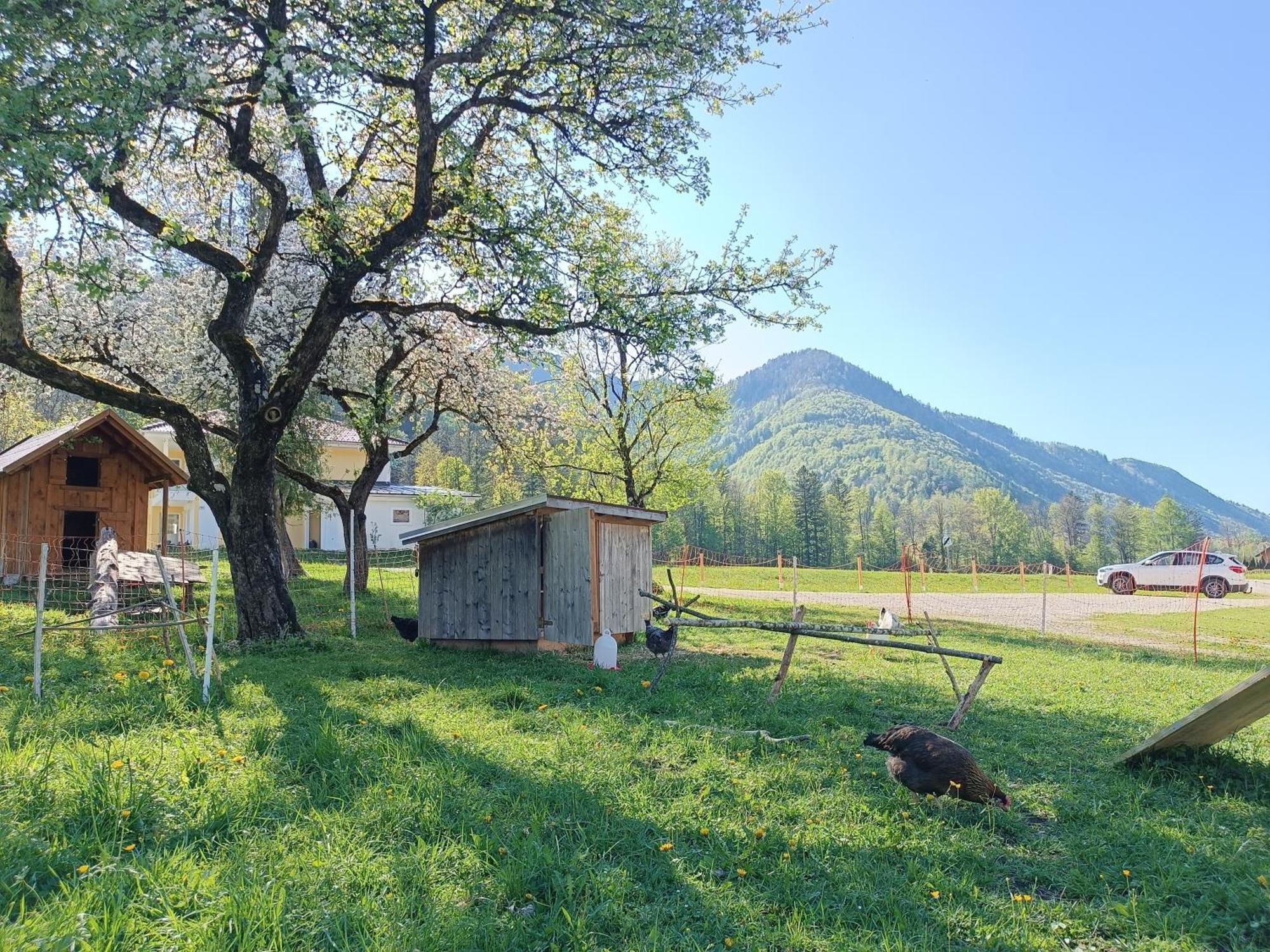 Hintererhof Apartment Hintersee Exterior foto